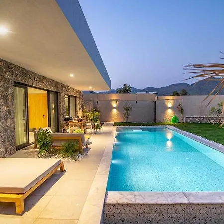 Viohouses 5- Luxury Private Korunakli Oezel Havuzlu Willa *