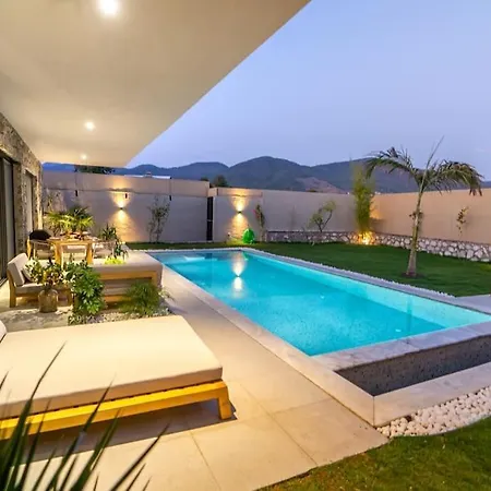Viohouses 5- Luxury Private Korunakli Oezel Havuzlu * Fethiye